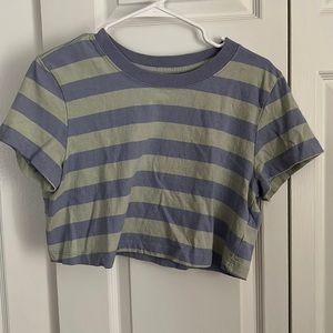 Light green and light purple cropped BDG tee.